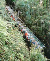 Katoomba Scenic Railway, Blue Mountains